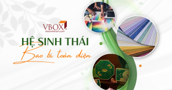 HỆ SINH THÁI BAO BÌ TOÀN DIỆN VBOX: GIẢI PHÁP TRỌN GÓI CHO THƯƠNG HIỆU CAO CẤP