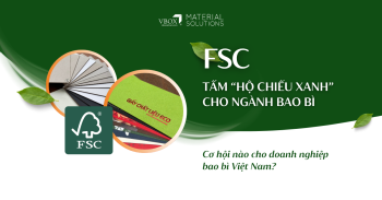 CHỨNG NHẬN FSC TRONG NGÀNH BAO BÌ: LỢI THẾ CẠNH TRANH CHO DOANH NGHIỆP VIỆT NAM