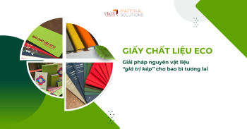 Giấy chất liệu Eco: Giải pháp nguyên vật liệu “giá trị kép” cho bao bì tương lai